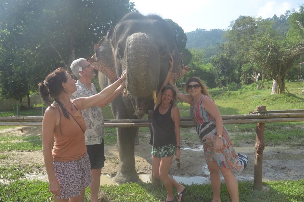 🐘 Elephant Care Program (90-120 mins) 5