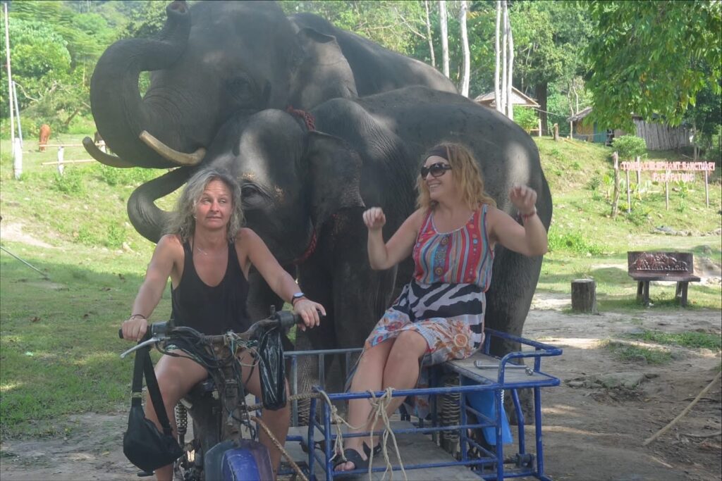 🐘 Elephant Care Program (90-120 mins) 3