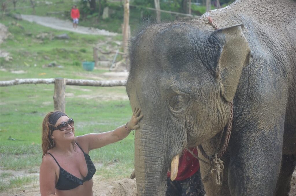 🐘 Elephant Care Program (90-120 mins) 2