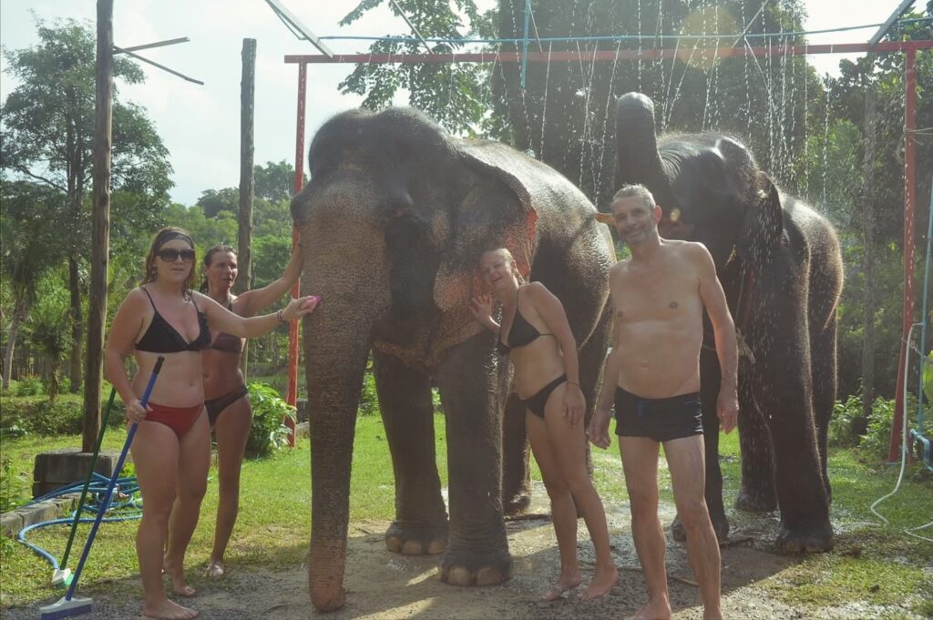 🐘 Elephant Care Program (90-120 mins) 1